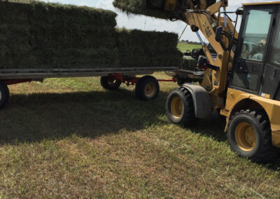 Loading small square bales