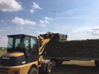 Loading small square bales